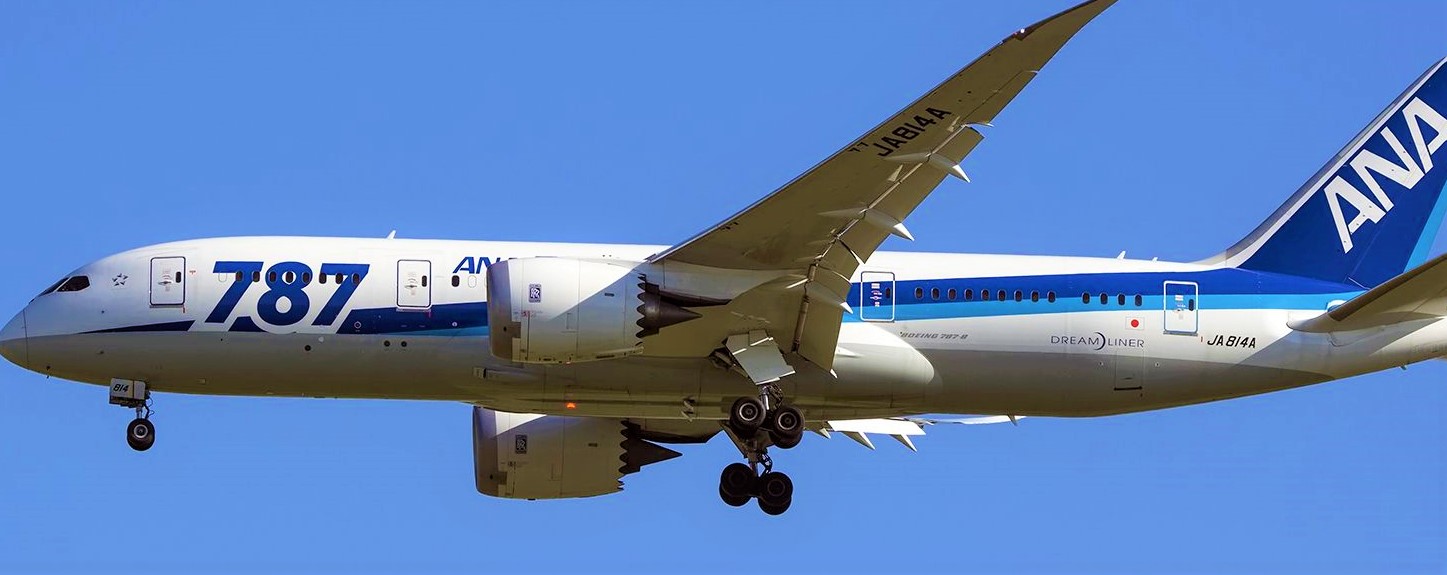 Pilot  of  an  ANA  Boeing  B787-8  aircraft  got  Incapacitated  today  at  FL410 ,  followed  by  safe  landing  !  What  can  be  the  causes  of  a  Incapacitation ?